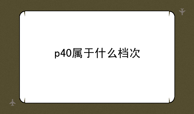 p40属于什么档次