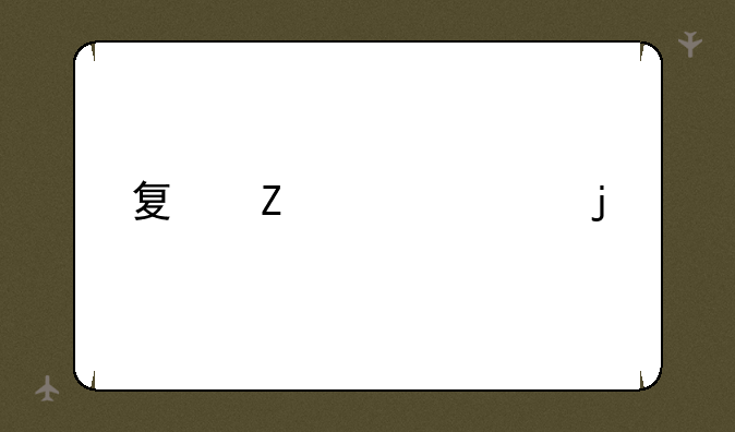 夏新大桥的简介