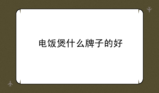 电饭煲什么牌子的好