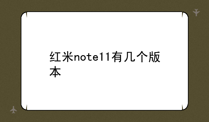红米note11有几个版本
