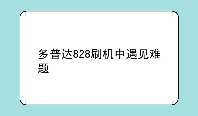 多普达828刷机中遇见难题