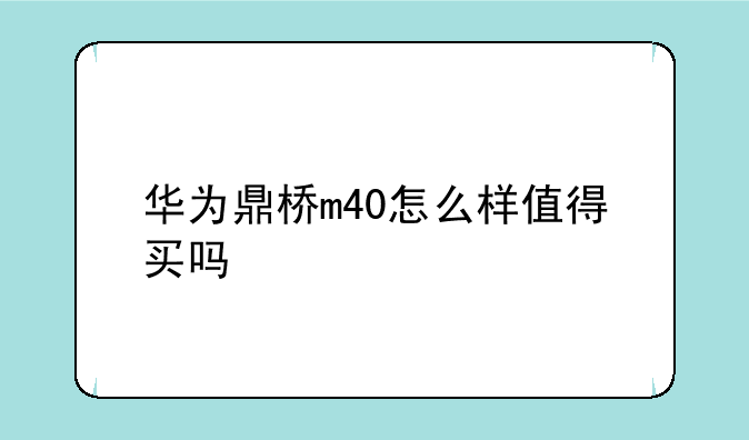 华为鼎桥m40怎么样值得买吗