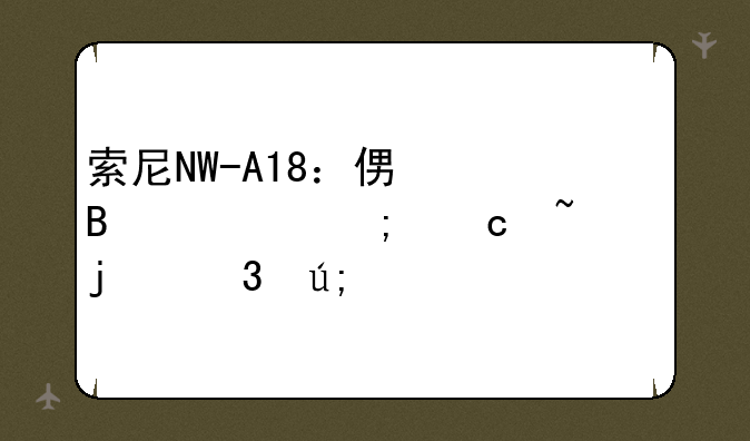 索尼NW-A18：便携性与高音质的完美平衡