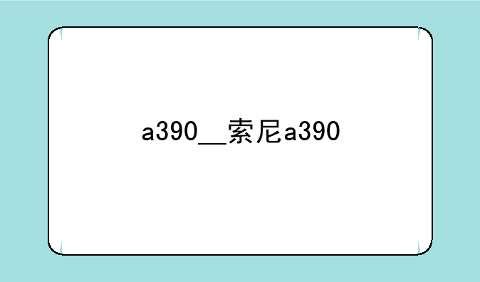 a390__索尼a390